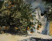 温斯洛荷默 - Orange Tree, Nassau